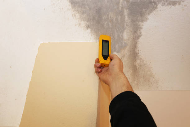 Best Biohazard Mold Removal  in The Hideout, PA