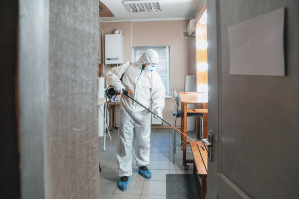 Best Mold Remediation for Healthcare Facilities  in The Hideout, PA