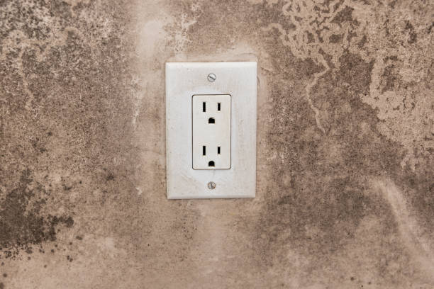 Trusted The Hideout, PA Mold Removal Experts