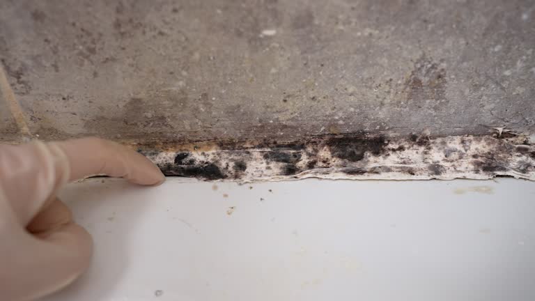 Best Indoor Air Quality Assessment  in The Hideout, PA